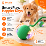 Petalia ZAP™ Smart Ball