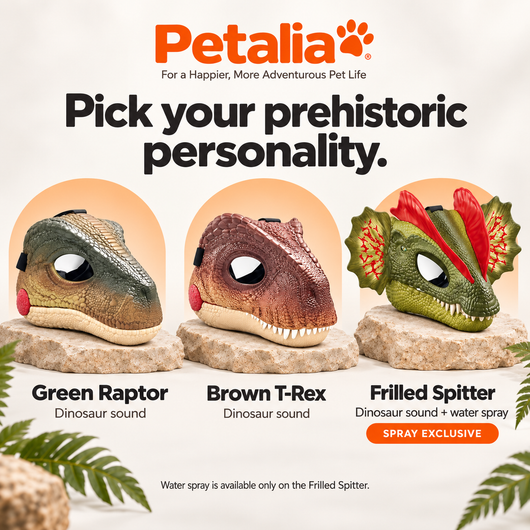 Petalia ROAR™ Interactive Dinosaur Mask