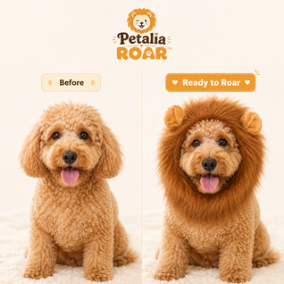 Petalia Dog ROAR™ Lion Mane Hat