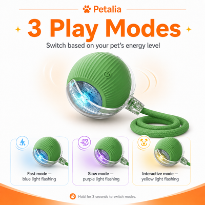 Petalia ZAP™ Smart Ball