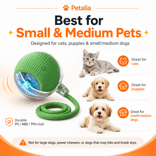 Petalia ZAP™ Smart Ball