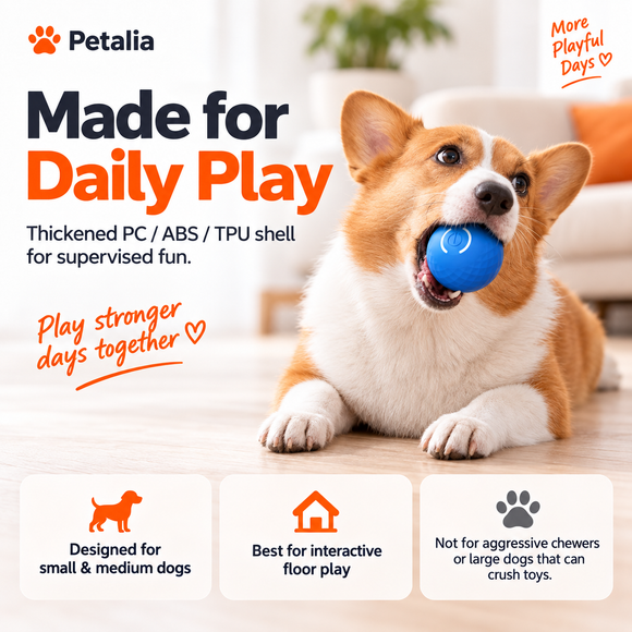 Petalia BOLT High Speed Pet Ball moving during supervised play