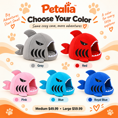 Petalia JAWS™ Shark Cave Bed