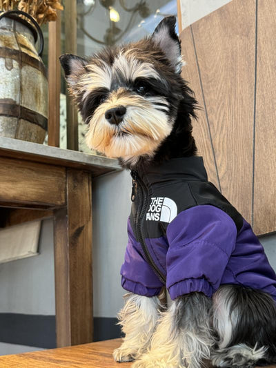 Thickened and warm puppy windproof charge dog face cat autumn and winter cotton clothes special cold-proof clothes pet down cotton clothes
