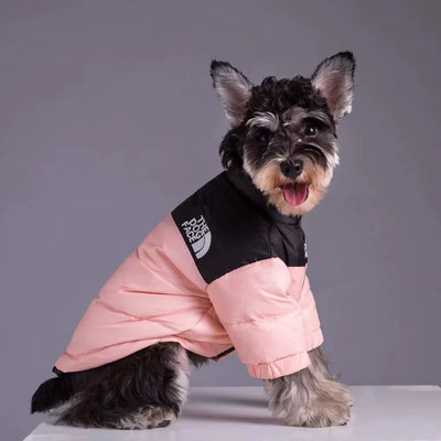 Thickened and warm puppy windproof charge dog face cat autumn and winter cotton clothes special cold-proof clothes pet down cotton clothes