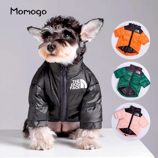 Thickened and warm puppy windproof charge dog face cat autumn and winter cotton clothes special cold-proof clothes pet down cotton clothes