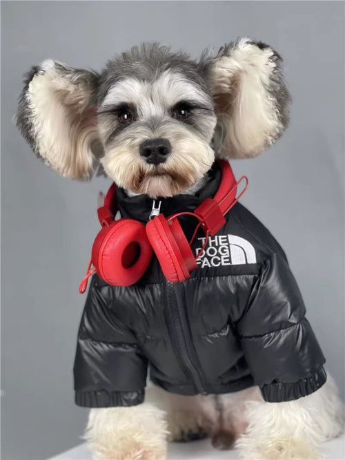 Thickened and warm puppy windproof charge dog face cat autumn and winter cotton clothes special cold-proof clothes pet down cotton clothes