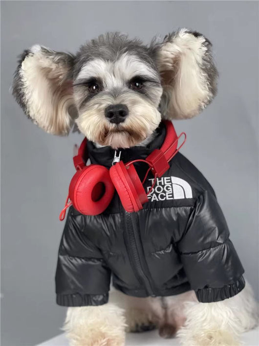 Thickened and warm puppy windproof charge dog face cat autumn and winter cotton clothes special cold-proof clothes pet down cotton clothes