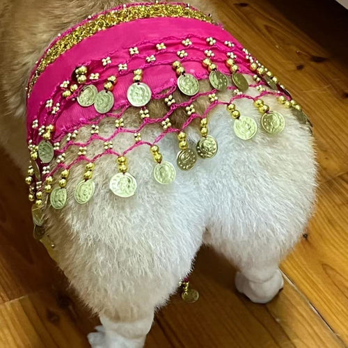 Internet celebrity corgi belly dance fart chain sequins waist chain passionate dog sexy hip shake fart dance hip dance buttock towel decoration