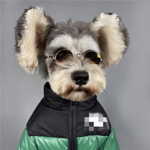Thickened and warm puppy windproof charge dog face cat autumn and winter cotton clothes special cold-proof clothes pet down cotton clothes