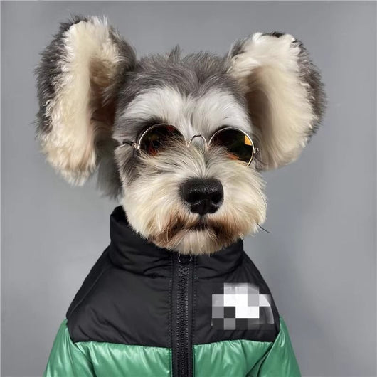 Thickened and warm puppy windproof charge dog face cat autumn and winter cotton clothes special cold-proof clothes pet down cotton clothes