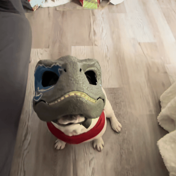 Feature product imagePetalia ZAP Smart Ball moving during supervised play